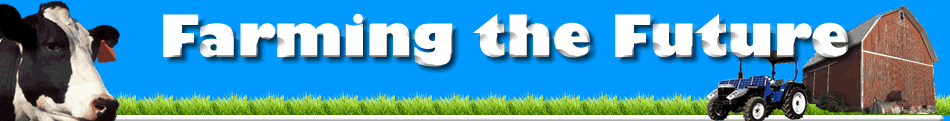 Homepage